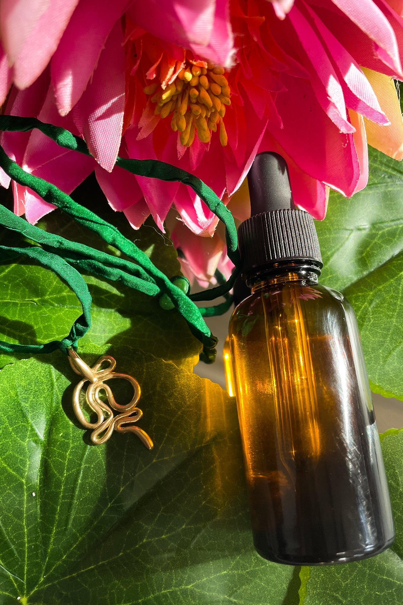 DIVINATION TOOLS FOR REBIRTH